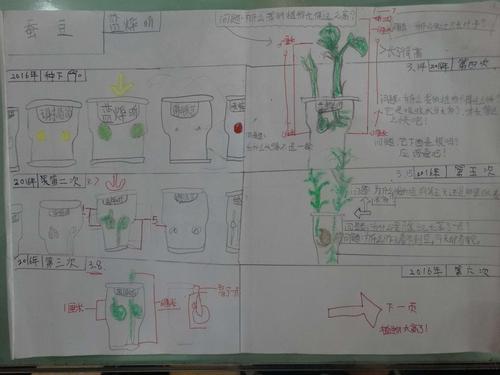 植物的生长变化 观察日记